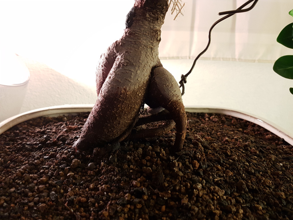 20190505_220654[1].jpg