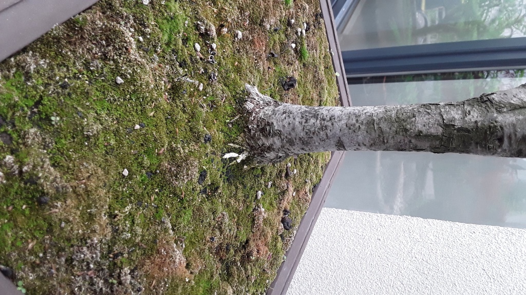 20190509_170712.jpg