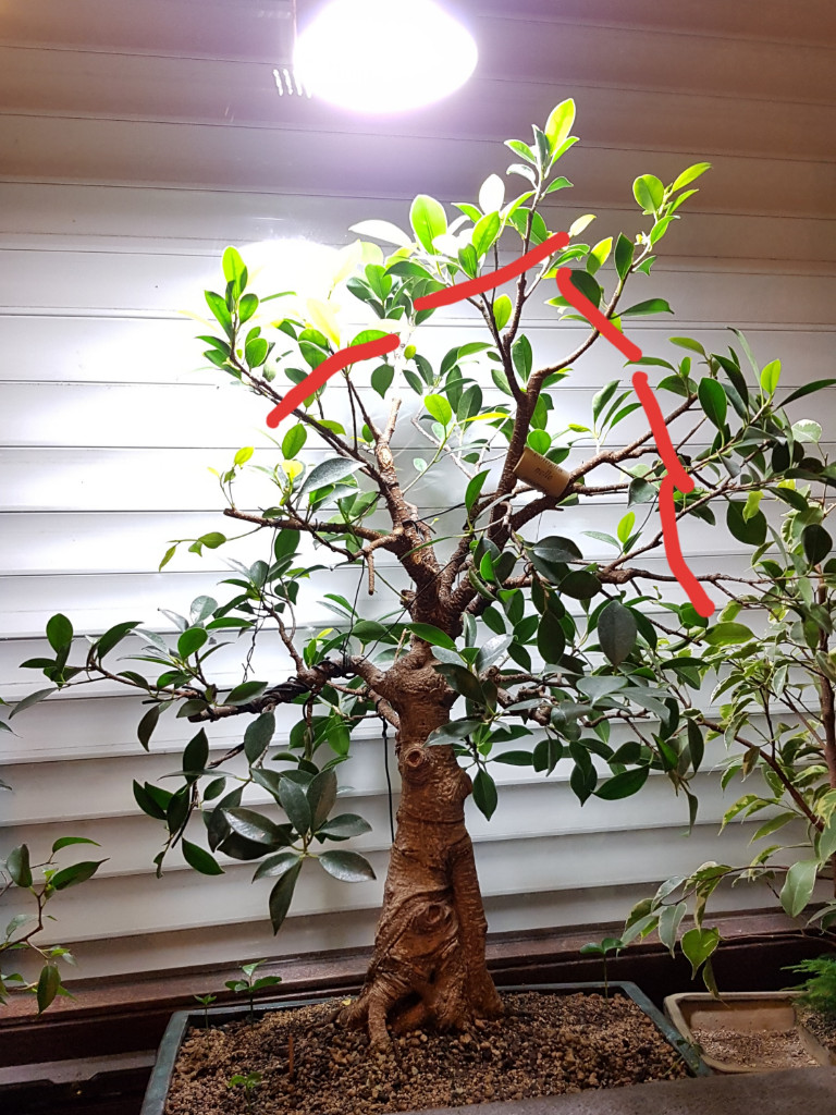 20190512_233331.jpg