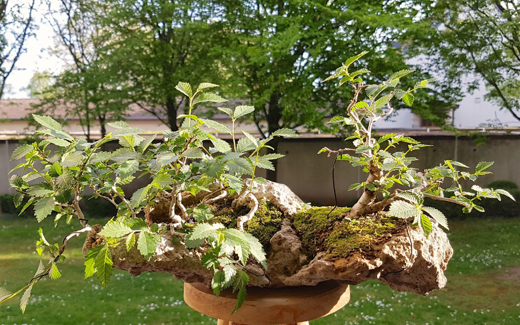 20190422_182621.jpg