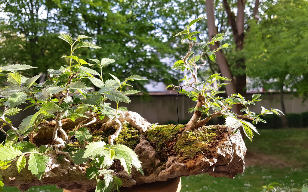 20190422_182709.jpg