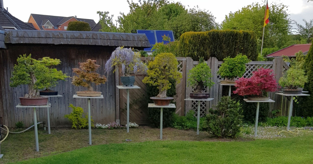 20190513_184426.jpg