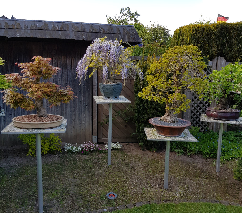 20190513_184617.jpg
