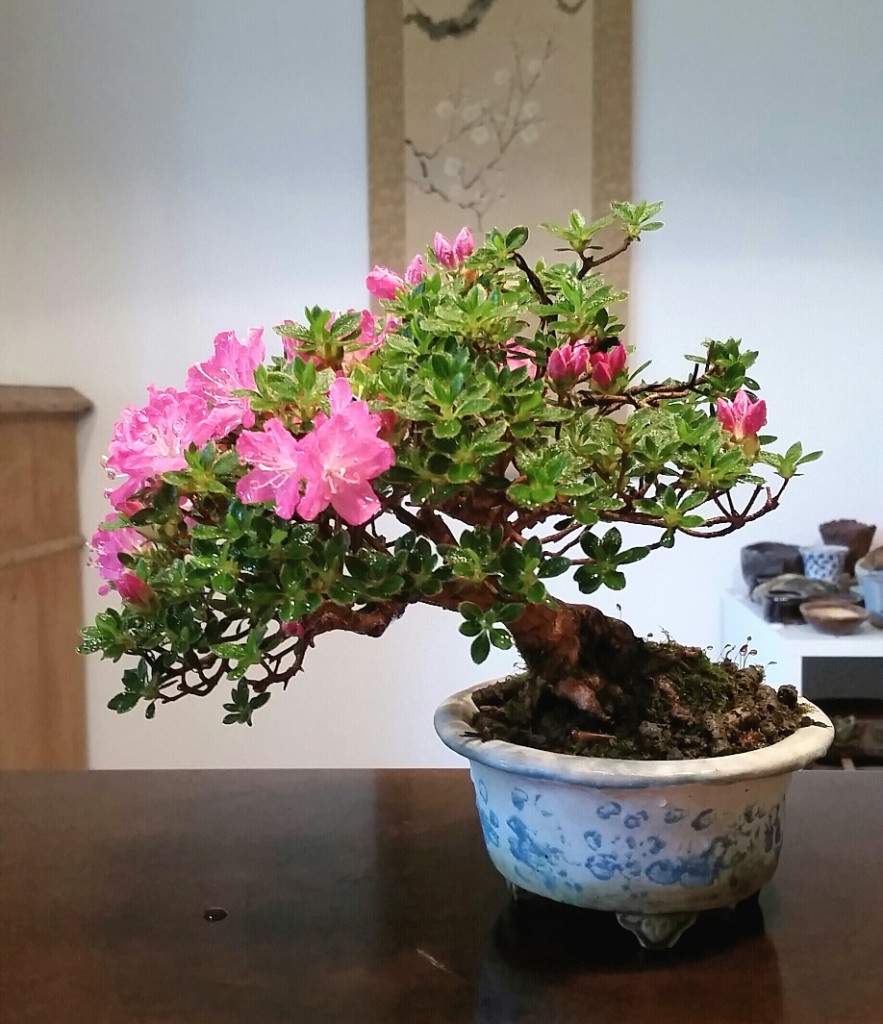 2019-05-12 19.53.35.jpg