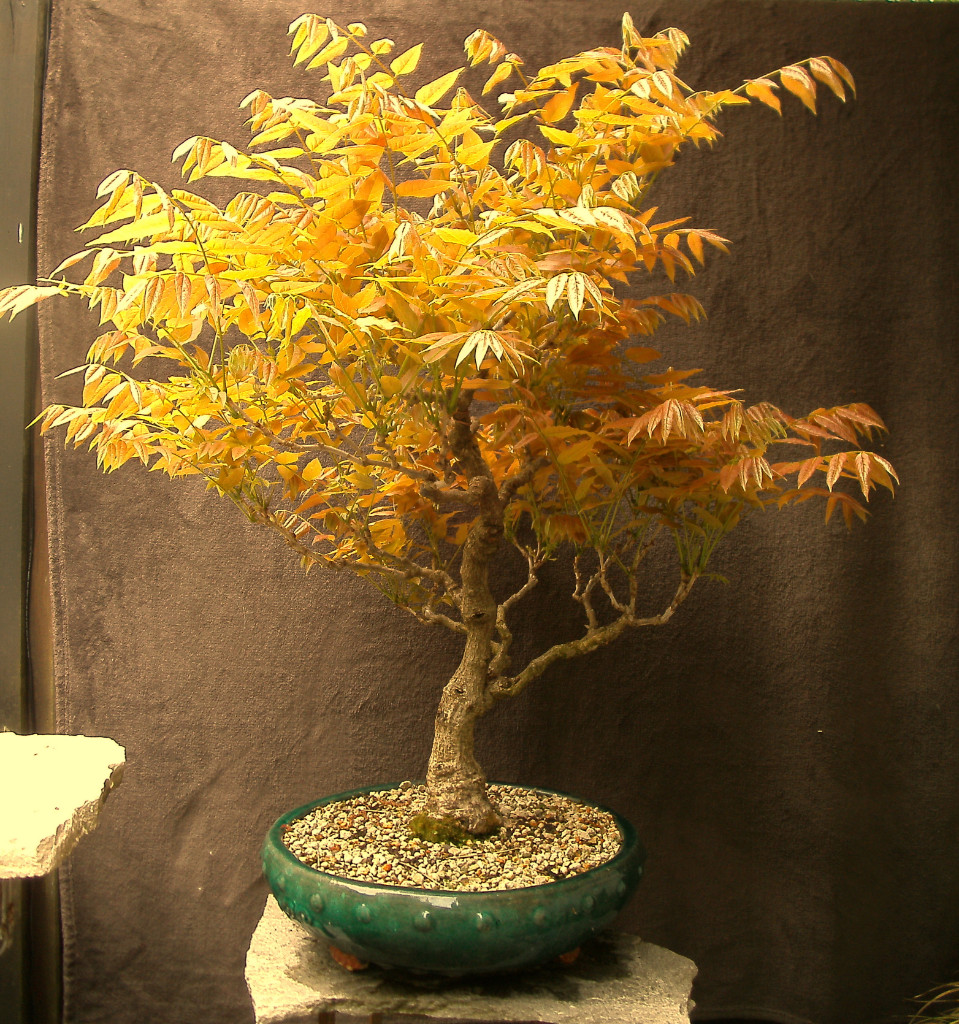 PICT5066.JPG