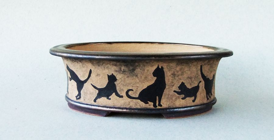 k-054 schwarze Katzen a.jpg
