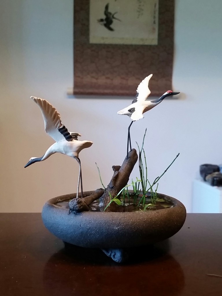 20190519_171005-1.jpg