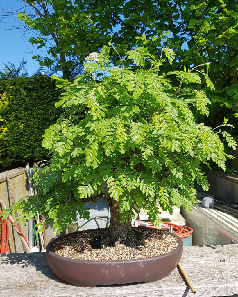 20190519_154327.jpg