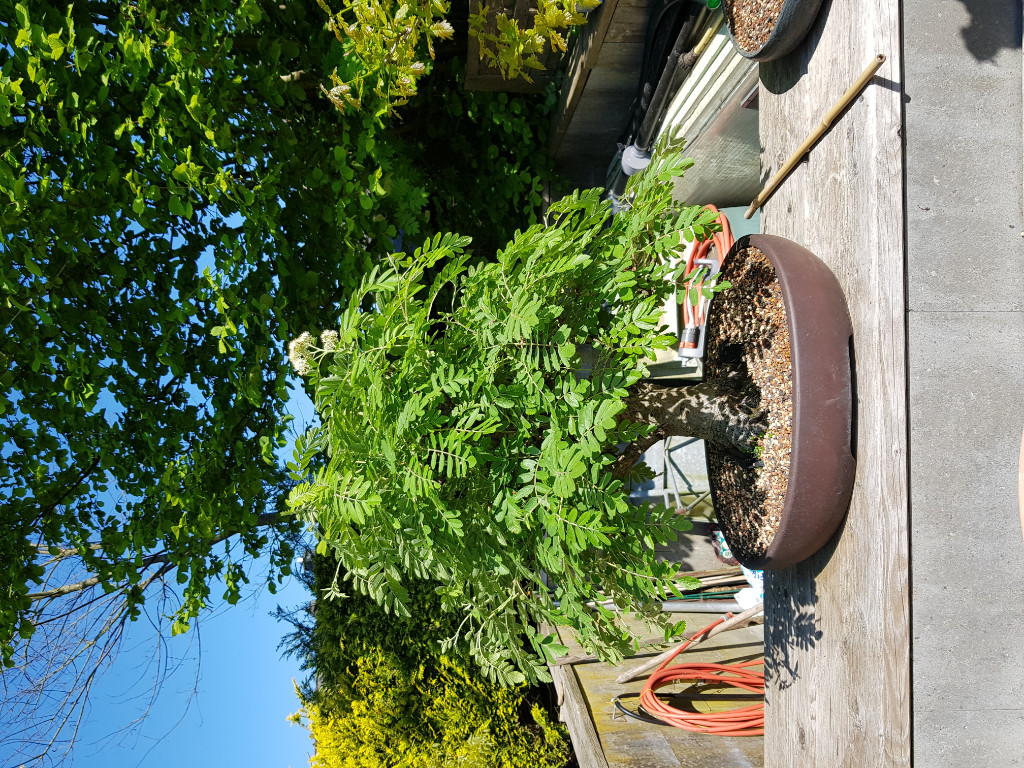 20190519_154358.jpg