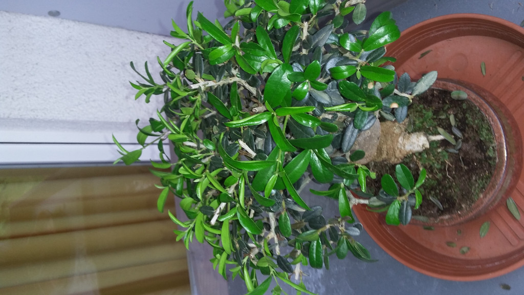 20190525_160245.jpg