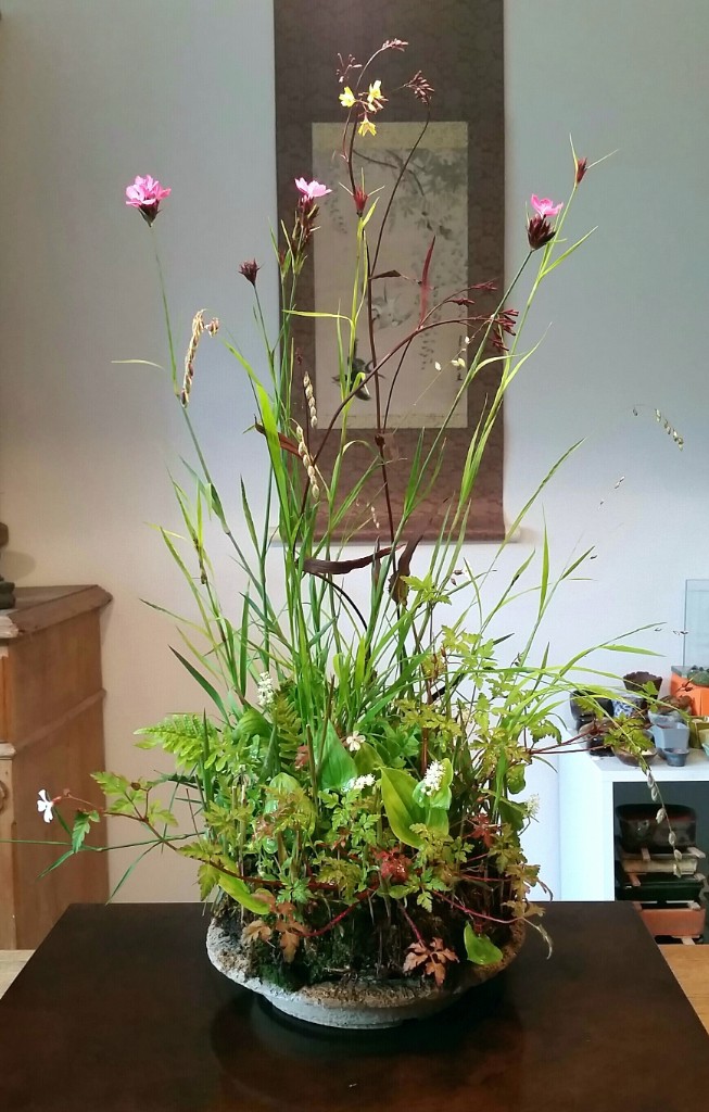 2019-05-30 18.25.26.jpg