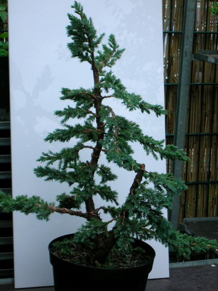 DSCN2801_Bildgröße ändern.JPG