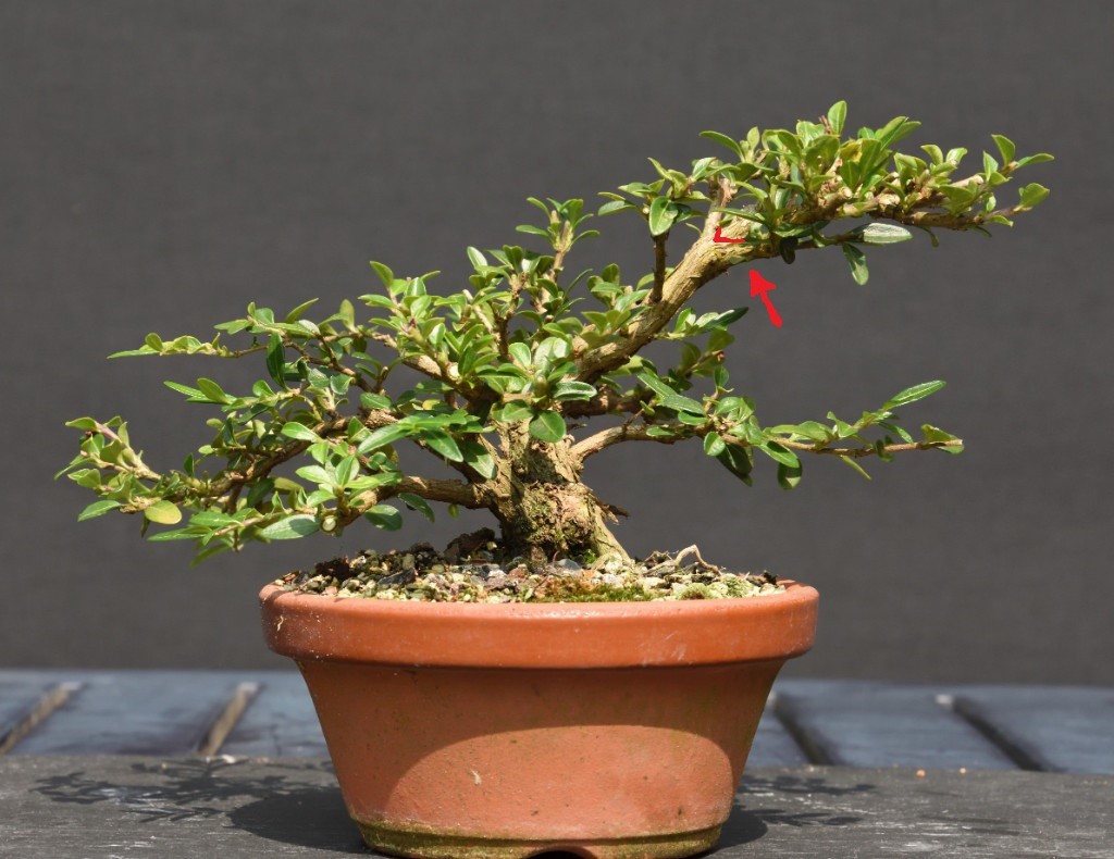 20190604_b[1].jpg