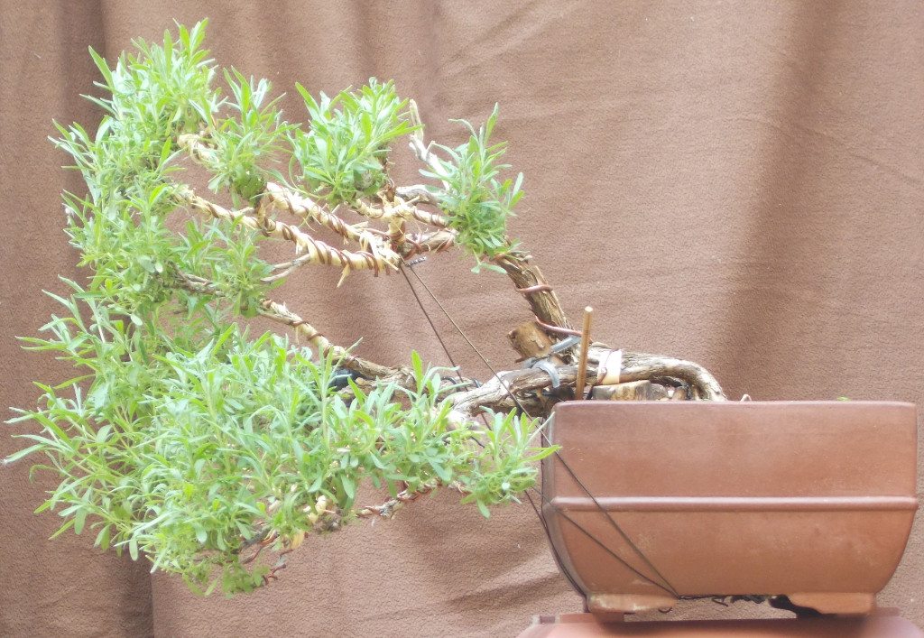 DSCN3814.jpg