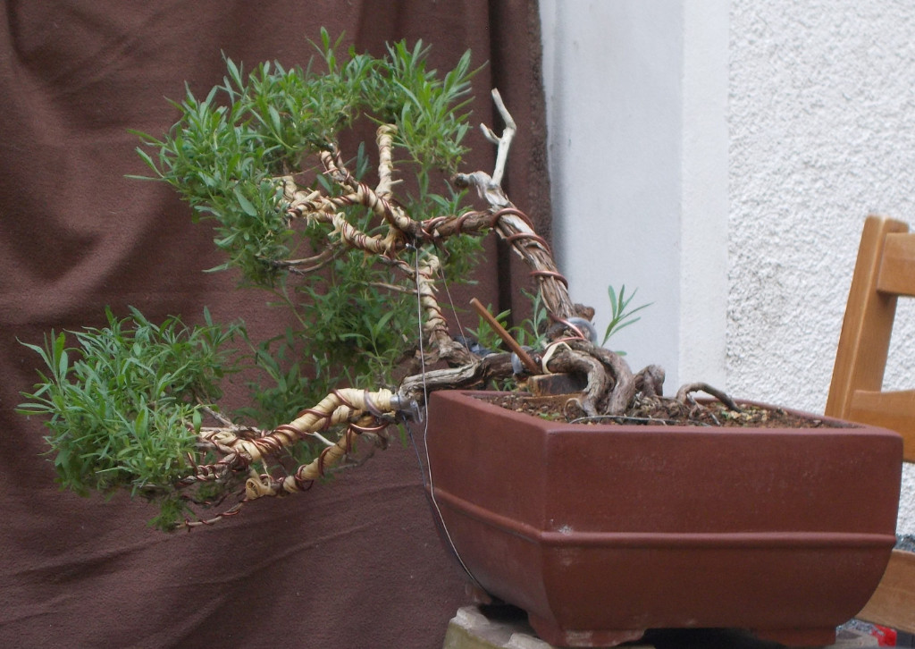 DSCN3818.jpg