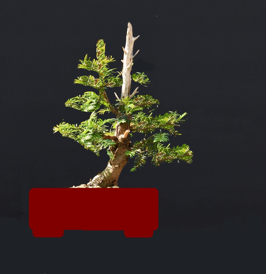 Phantasie