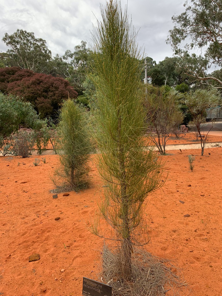 Botanical_Garden_109.jpg
