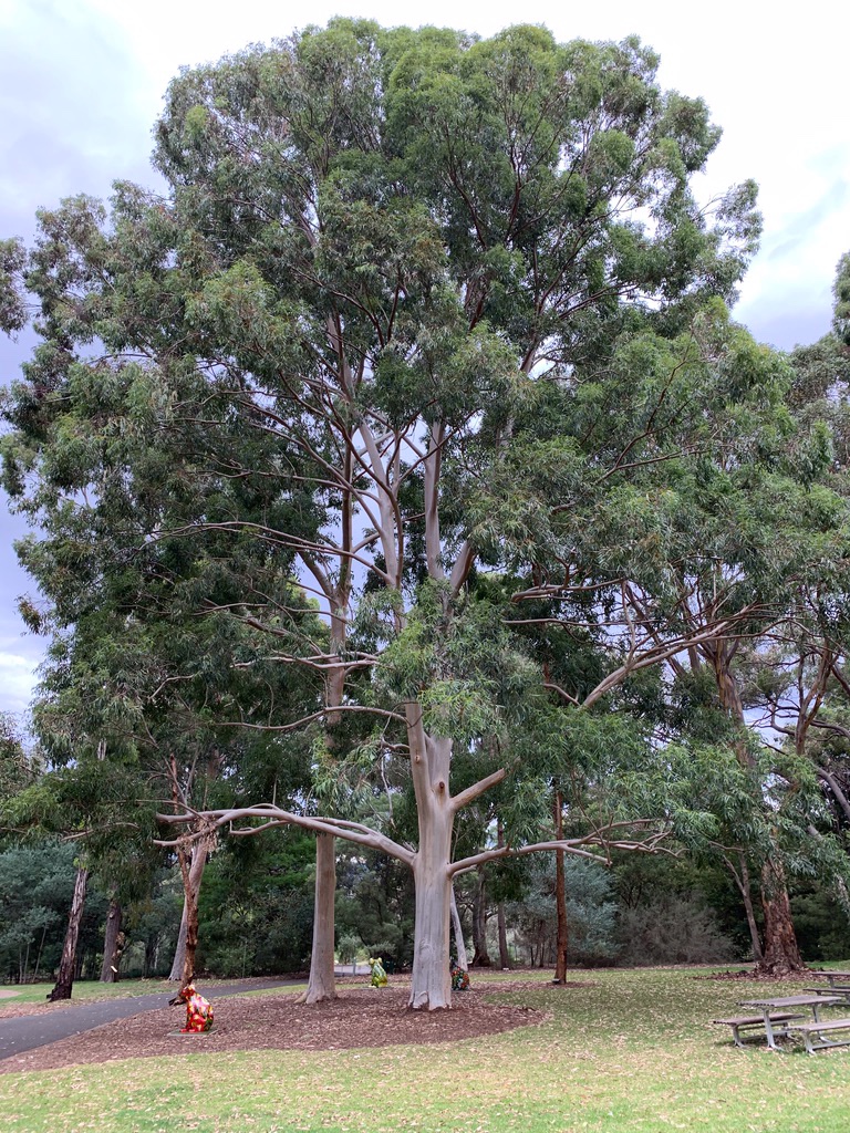 Botanical_Garden_115.jpg
