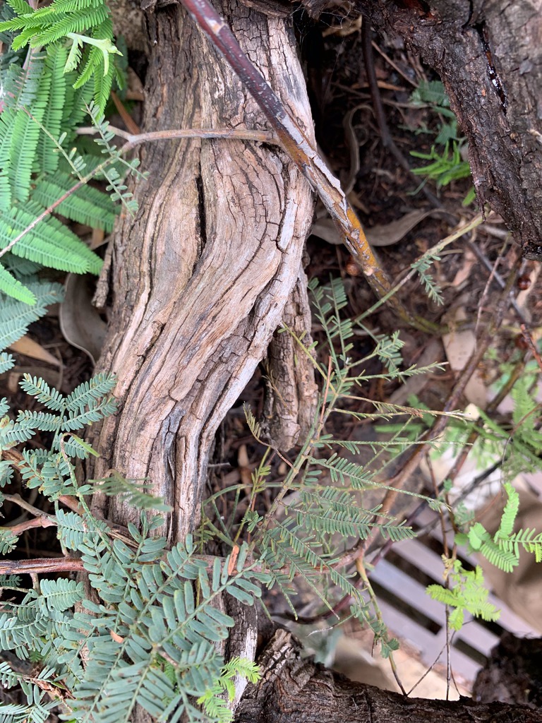 Botanical_Garden_117.jpg
