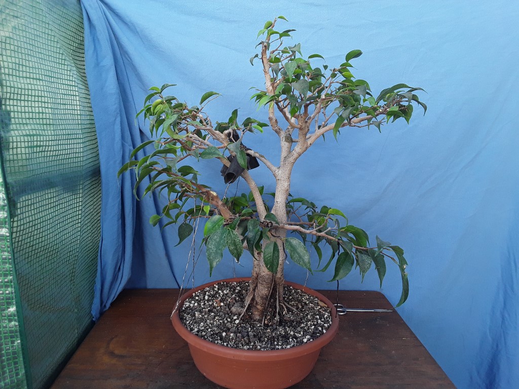 20190420_170928.jpg