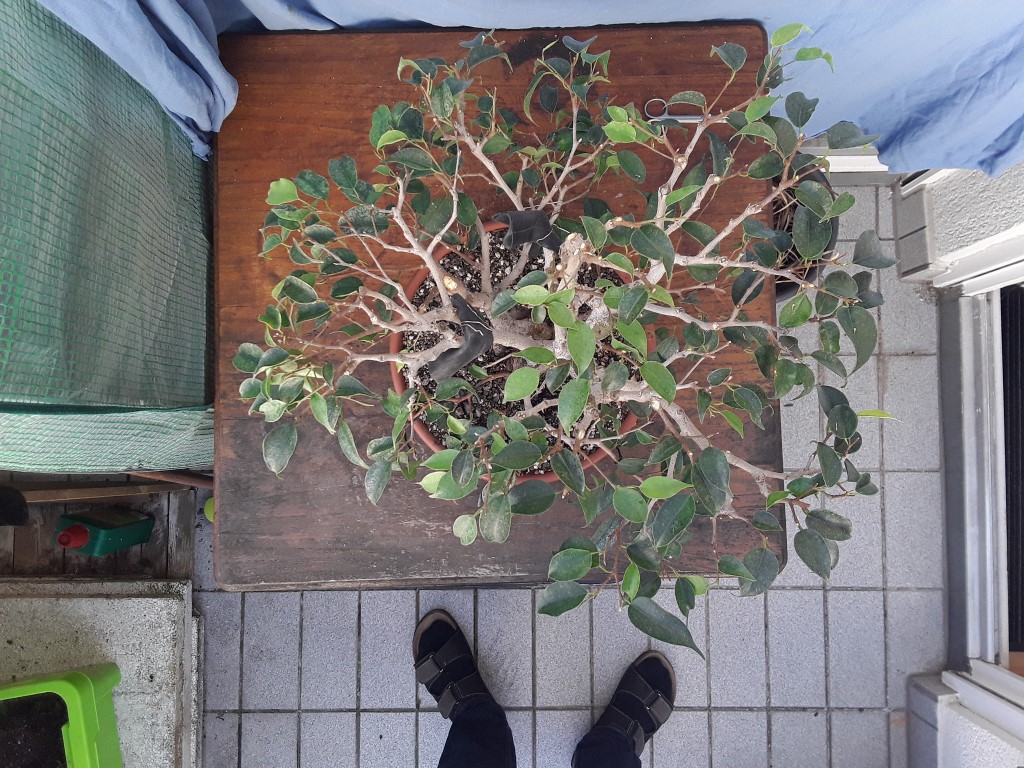 20190420_171009.jpg