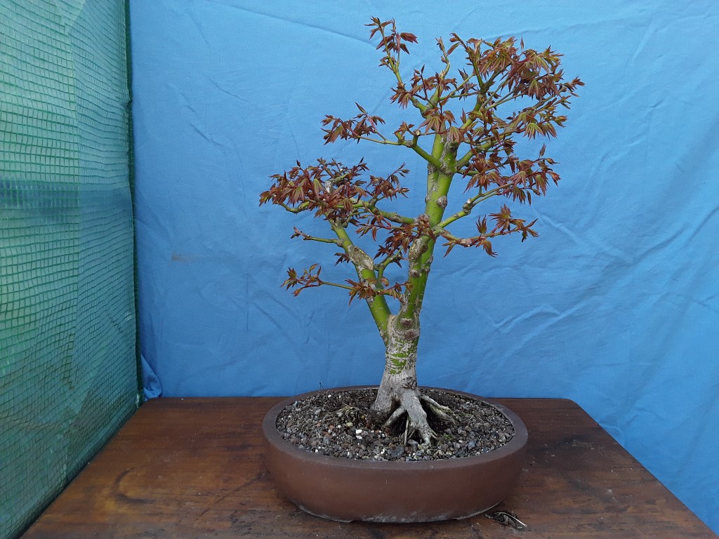 20190401_163525.jpg