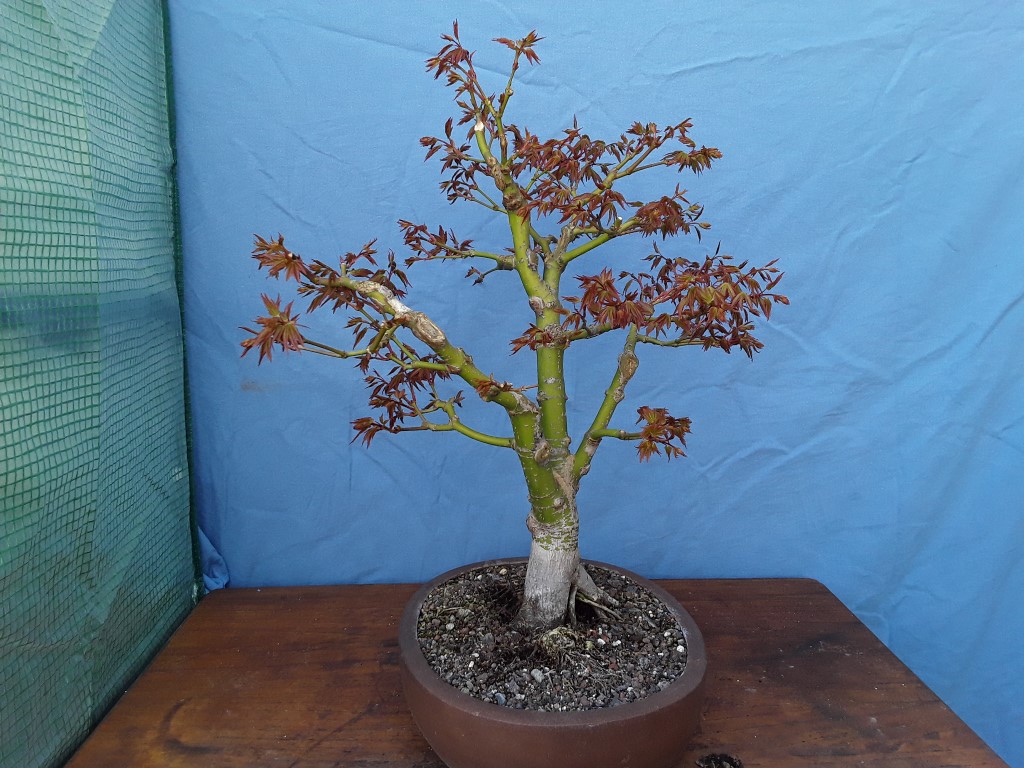 20190401_163538.jpg