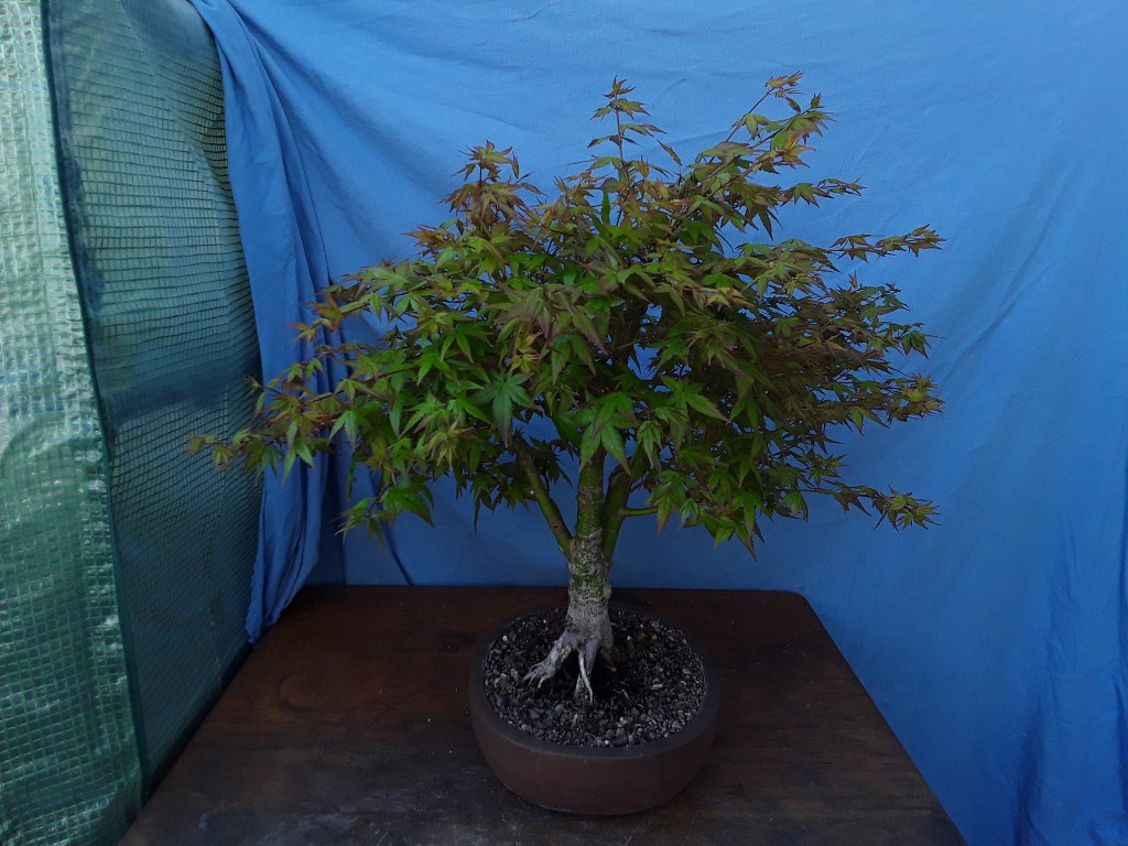 20190420_144324.jpg