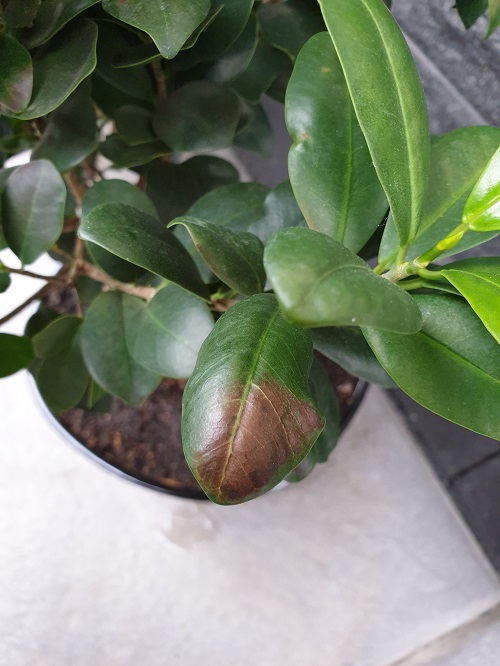 20190610_163438.jpg