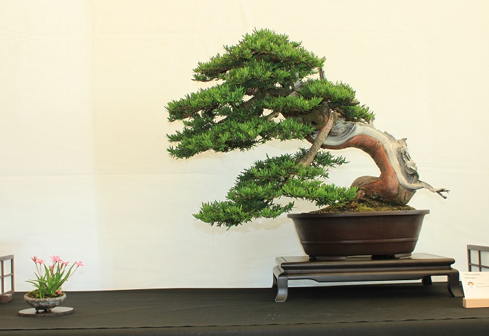 06.jpg