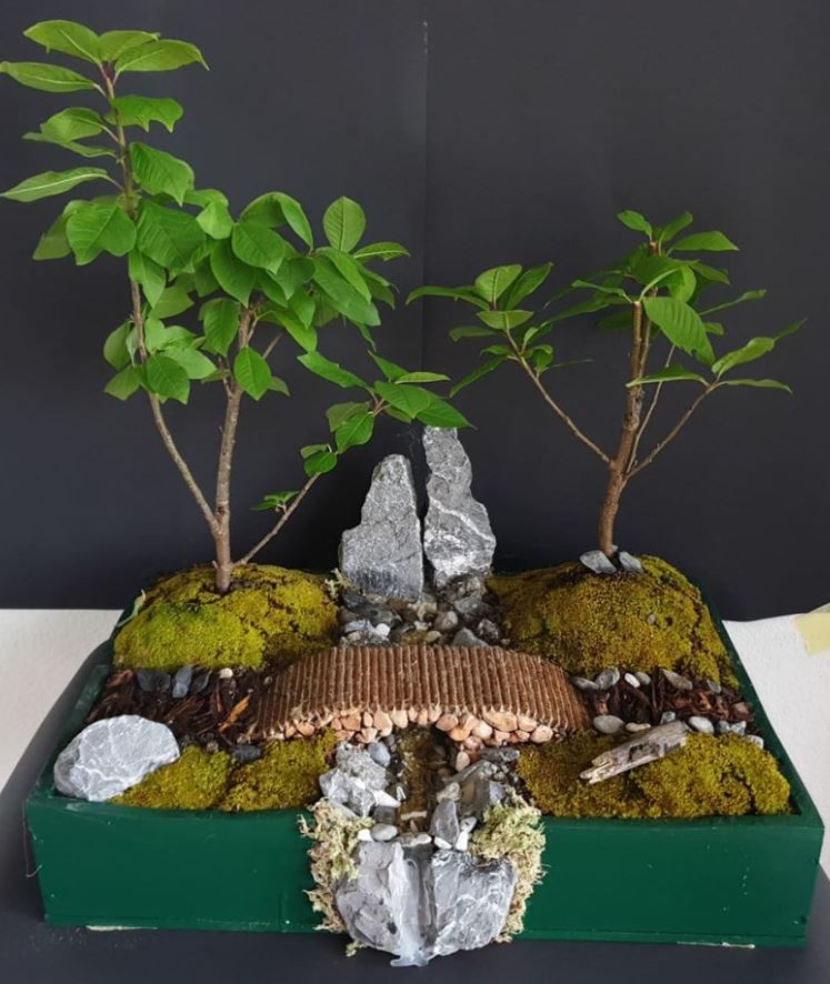 Cherry Forrest Full small.JPG