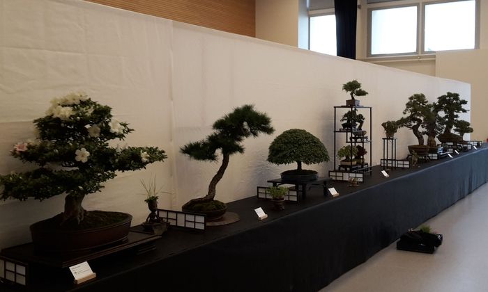 20190607_191436.jpg