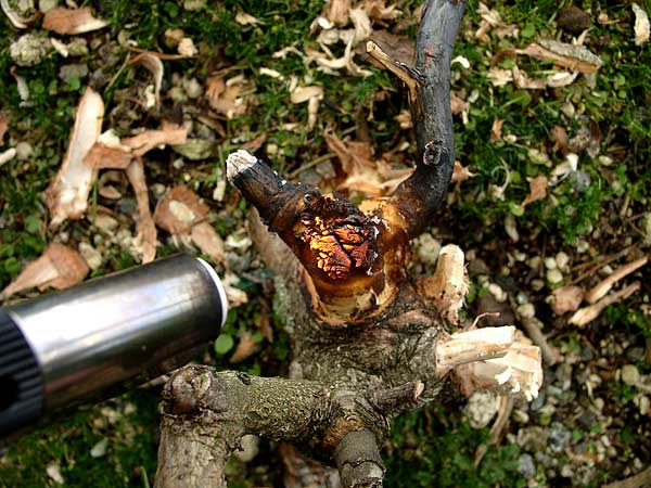 Das Holz muß richtig glühen, dann ist das Brennen richtig gemacht.