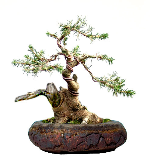 Diese Schale habe ich mit bei Horst Heinzlreiter ausgeliehen. Schalenmße sollten 12 cm Breite und 4 cm Höhe sein.