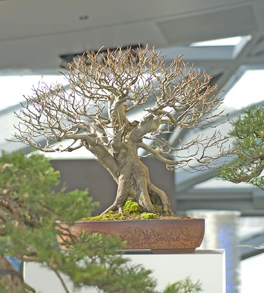 2010-04-NSC_9400v.jpg