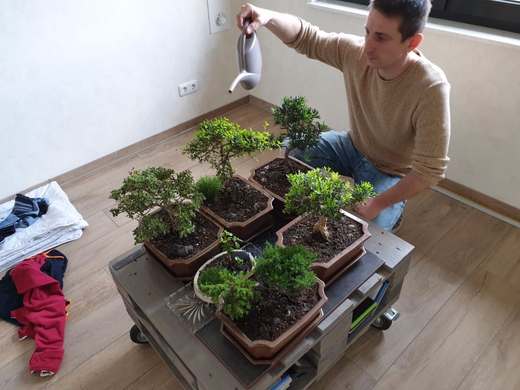 Das ist meime kleine Sammlung sind grade in pflege bin im urlaub