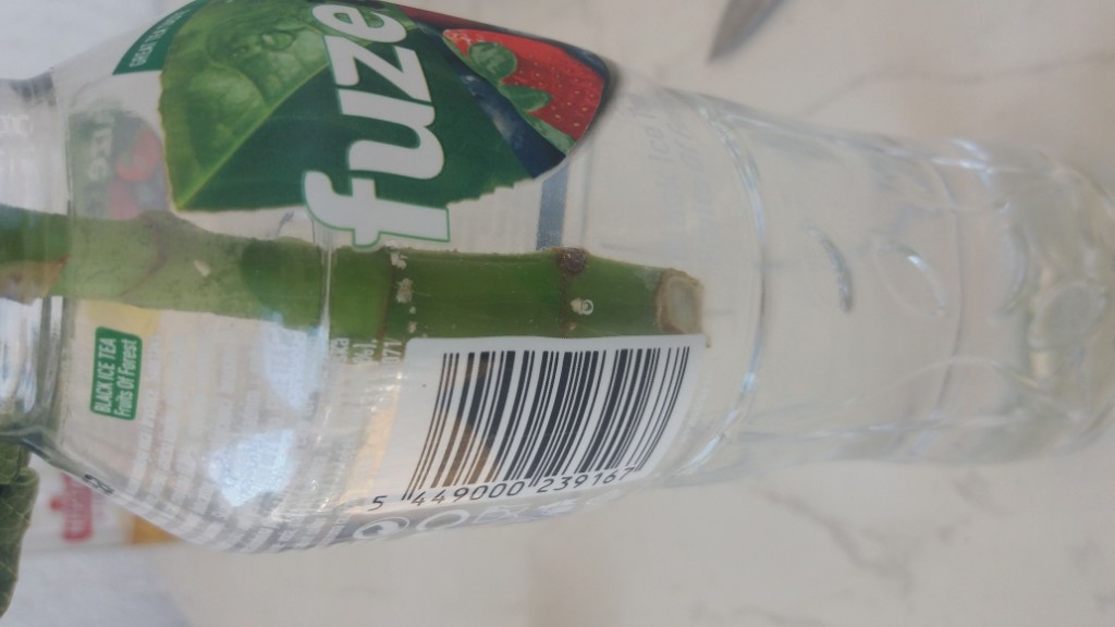 IMG-20190616-WA0000.jpeg