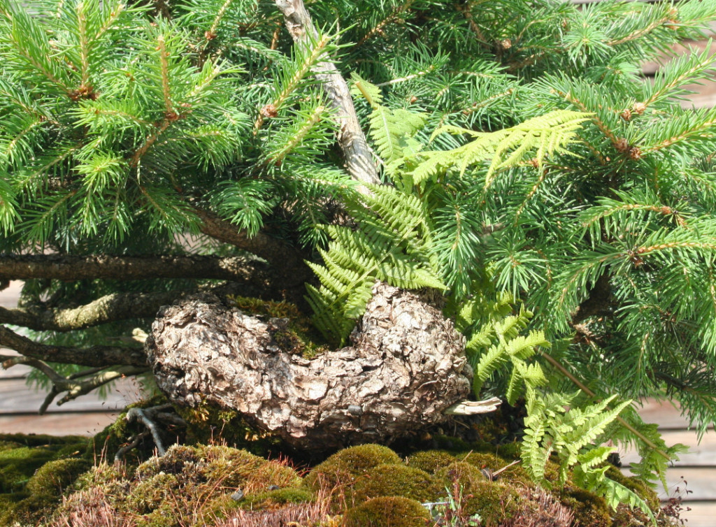 Detail
