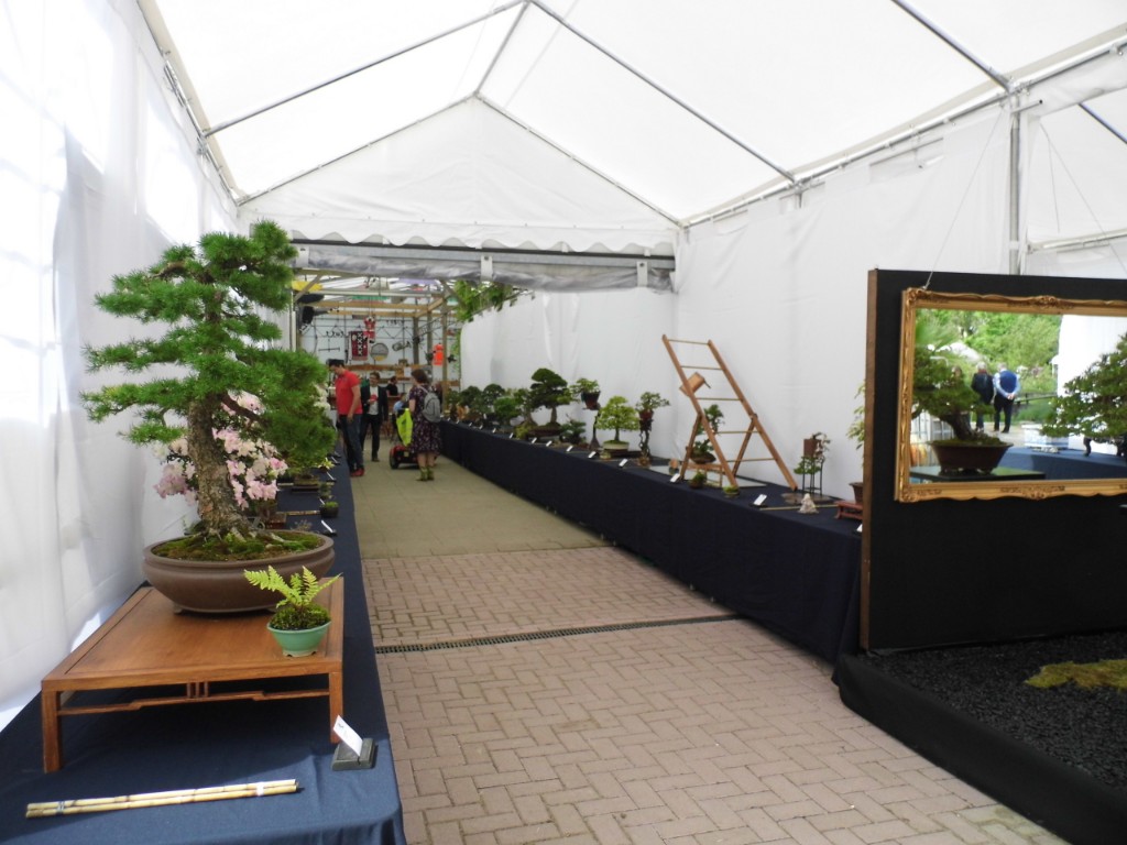 P1010779.JPG