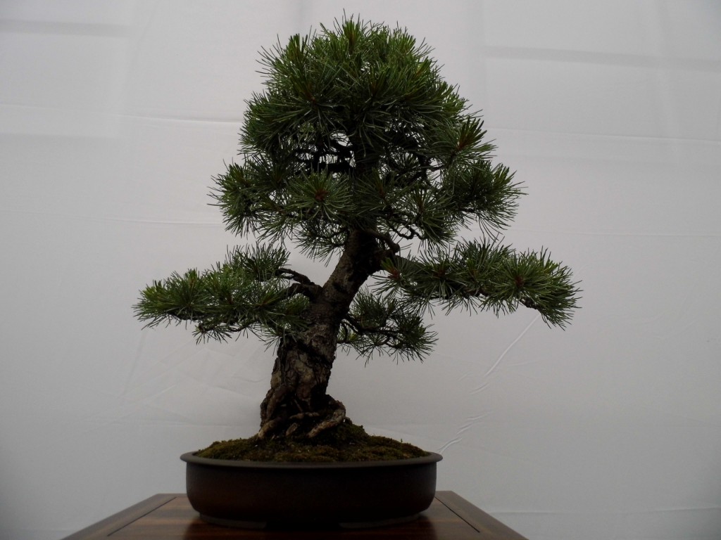 P1010783.JPG