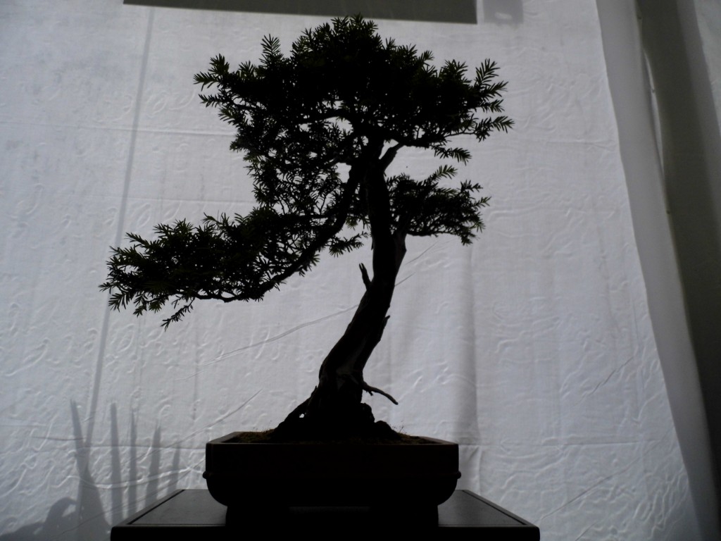 P1010789.JPG