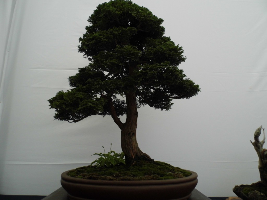 P1010803.JPG