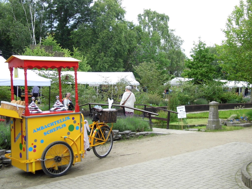 P1010825.JPG