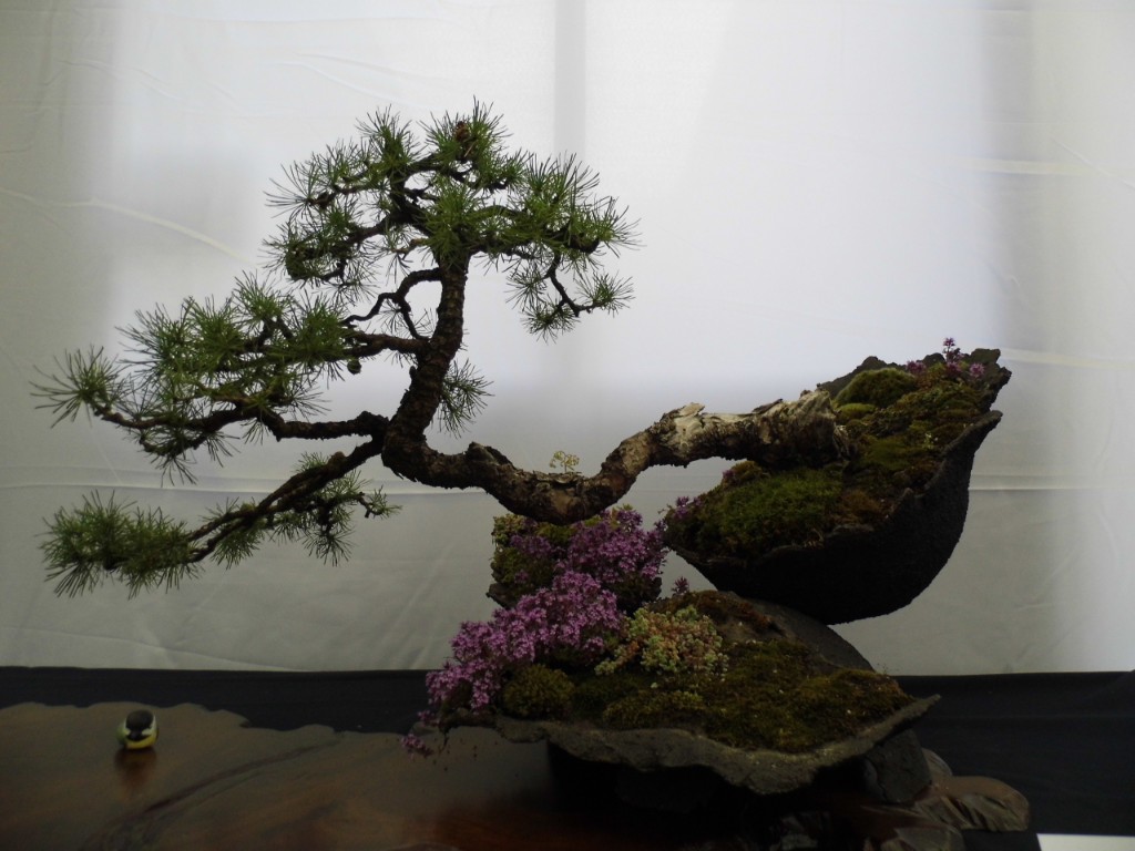 P1010840.JPG
