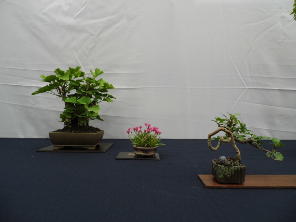 P1010842.JPG