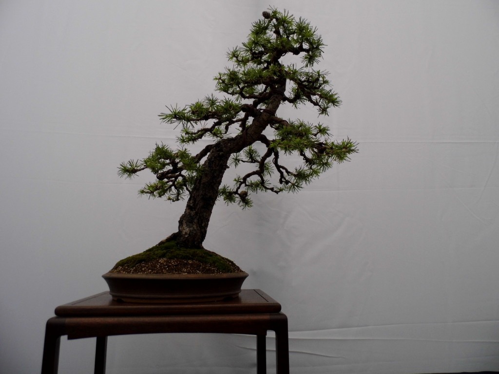 P1010844.JPG