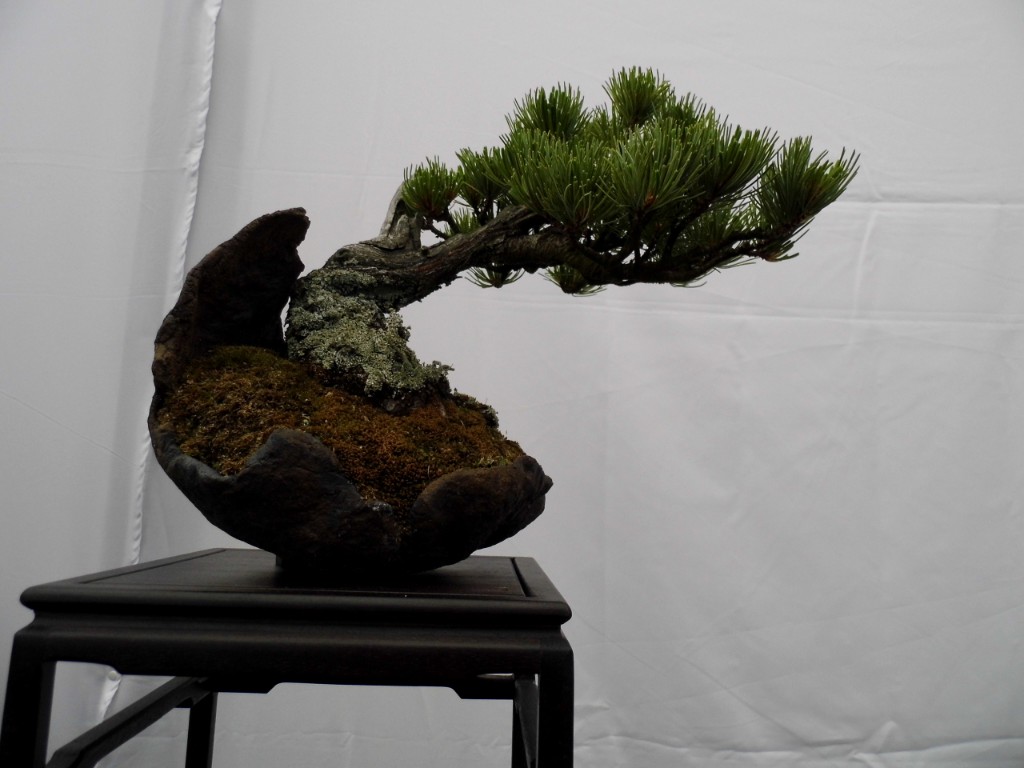 P1010850.JPG