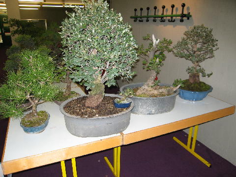 29.September_20060003_1.JPG