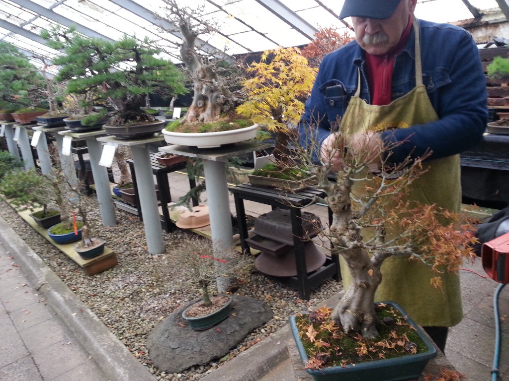 20161105_124446.jpg