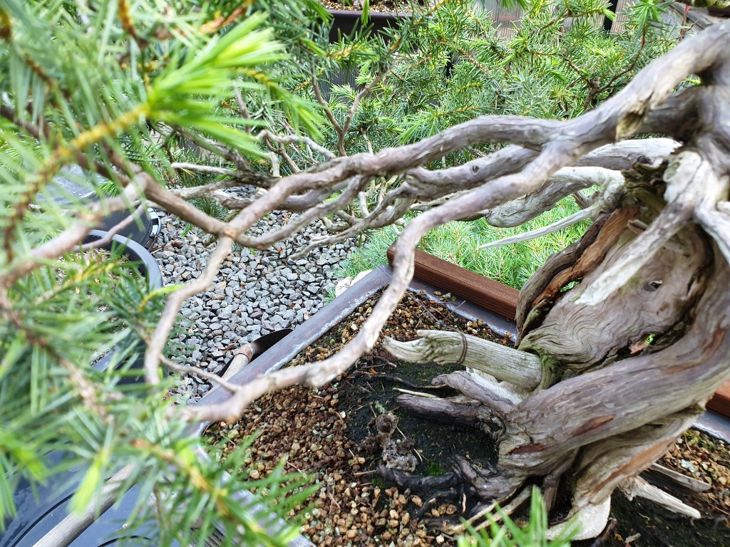 20190626_193229.jpg